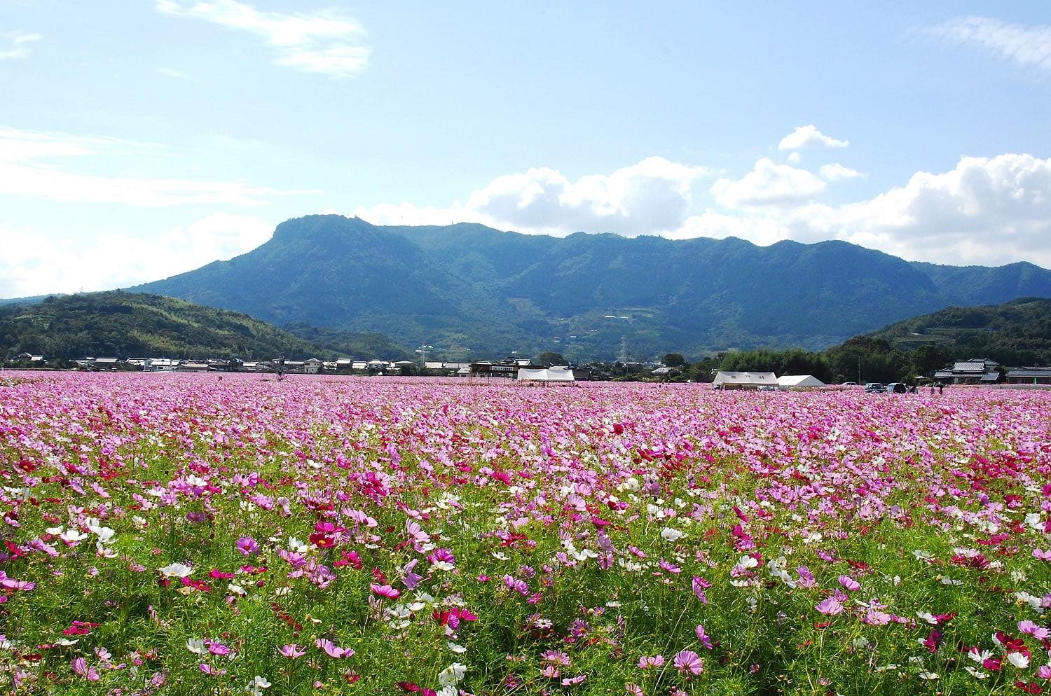 【9月4週連続放送】NHK「100分de名著」で福翁自伝が紹介されます！